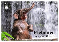 Cover Elefanten. Spaß am Wasser (Tischkalender 2026 DIN A5 quer), CALVENDO Monatskalender