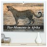 Tier-Momente in Afrika (hochwertiger... - Bild 1