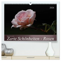 Zarte Schönheiten - Rosen (hochwertiger Premium Wandkalender 2026 DIN A2 quer), Kunstdruck in Hochglanz