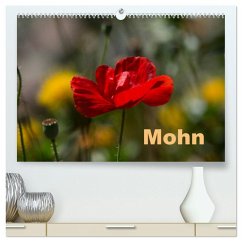Cover Mohn (hochwertiger Premium Wandkalender 2026 DIN A2 quer), Kunstdruck in Hochglanz