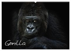 Gorilla (Wandkalender 2026 DIN A2 quer), CALVENDO Monatskalender