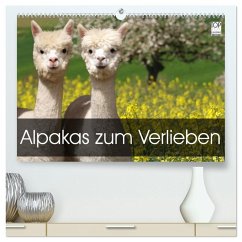 Alpakas zum Verlieben (hochwertiger Premium Wandkalender 2026 DIN A2 quer), Kunstdruck in Hochglanz