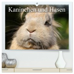 Kaninchen und Hasen (hochwertiger Premium Wandkalender 2026 DIN A2 quer), Kunstdruck in Hochglanz Cover Kaninchen und Hasen (hochwertiger Premium Wandkalender 2026 DIN A2 quer), Kunstdruck in Hochglanz