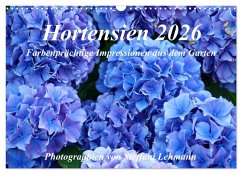 Cover Hortensien 2026. Farbenprächtige Impressionen aus dem Garten (Wandkalender 2026 DIN A3 quer), CALVENDO Monatskalender