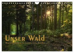 Cover Unser Wald - Magische Sichten in norddeutsche Wälder / Geburtstagskalender (Wandkalender 2026 DIN A4 quer), CALVENDO Monatskalender