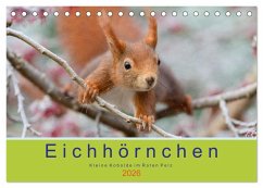 Eichhörnchen - Kleine Kobolde im Roten Pelz (Tischkalender 2026 DIN A5 quer), CALVENDO Monatskalender