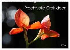 Prachtvolle Orchideen (Wandkalender 2026 DIN A2 quer), CALVENDO Monatskalender