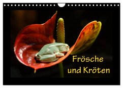 Frösche und Kröten (Wandkalender 2026 DIN A4 quer), CALVENDO Monatskalender Frösche und Kröten (Wandkalender 2026 DIN A4 quer), CALVENDO Monatskalender