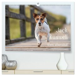 Jack Russell - Klein, aber oho! (hochwertiger Premium Wandkalender 2026 DIN A2 quer), Kunstdruck in Hochglanz Cover Jack Russell - Klein, aber oho! (hochwertiger Premium Wandkalender 2026 DIN A2 quer), Kunstdruck in Hochglanz