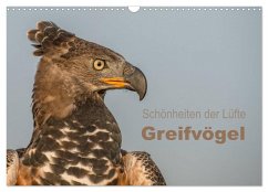 Schönheiten der Lüfte - Greifvögel (Wandkalender 2026 DIN A3 quer), CALVENDO Monatskalender Schönheiten der Lüfte - Greifvögel (Wandkalender 2026 DIN A3 quer), CALVENDO Monatskalender