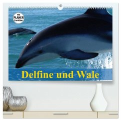 Delfine und Wale (hochwertiger Premium Wandkalender 2026 DIN A2 quer), Kunstdruck in Hochglanz