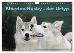 Siberian Husky - der Urtyp (Wandkalender 2026 DIN A4 quer), CALVENDO Monatskalender Siberian Husky - der Urtyp (Wandkalender 2026 DIN A4 quer), CALVENDO Monatskalender