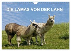 DIE LAMAS VON DER LAHN (Wandkalender 2026 DIN A4 quer), CALVENDO Monatskalender