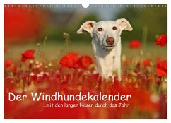 Der Windhundekalender (Wandkalender 2026 DIN A3 quer), CALVENDO Monatskalender Der Windhundekalender (Wandkalender 2026 DIN A3 quer), CALVENDO Monatskalender