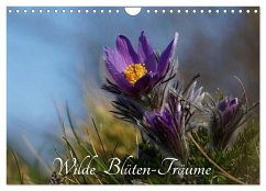 Wilde Blüten-Träume (Wandkalender 2026 DIN A4 quer), CALVENDO Monatskalender