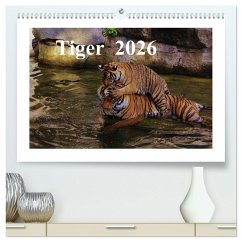 Cover Tiger 2026 (hochwertiger Premium Wandkalender 2026 DIN A2 quer), Kunstdruck in Hochglanz