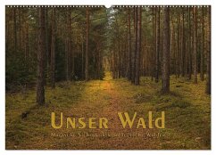 Unser Wald - Magische Sichten in norddeutsche Wälder (Wandkalender 2026 DIN A2 quer), CALVENDO Monatskalender