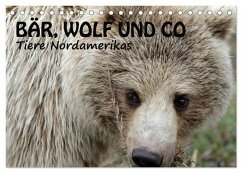 Cover Bär, Wolf und Co - Tiere Nordamerikas (Tischkalender 2026 DIN A5 quer), CALVENDO Monatskalender