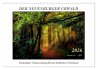 Der Neuenburger Urwald (Wandkalender... - Bild 1