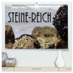 Cover Steine-Reich (hochwertiger Premium Wandkalender 2026 DIN A2 quer), Kunstdruck in Hochglanz