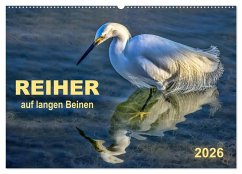Reiher - auf langen Beinen (Wandkalender 2026 DIN A2 quer), CALVENDO Monatskalender