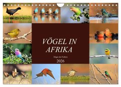 Vögel in Afrika - Magie der Farben (Wandkalender 2026 DIN A4 quer), CALVENDO Monatskalender