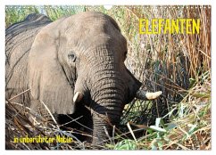 ELEFANTEN IN UNBERÜHRTER NATUR (Wandkalender 2026 DIN A3 quer), CALVENDO Monatskalender ELEFANTEN IN UNBERÜHRTER NATUR (Wandkalender 2026 DIN A3 quer), CALVENDO Monatskalender