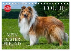 Collie - Mein bester Freund (Tischkalender 2026 DIN A5 quer), CALVENDO Monatskalender