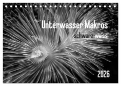 Cover Unterwasser Makros - schwarz weiss 2026 (Tischkalender 2026 DIN A5 quer), CALVENDO Monatskalender