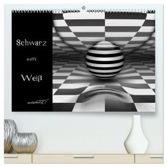 Schwarz trifft Weiß (hochwertiger Premium Wandkalender 2026 DIN A2 quer), Kunstdruck in Hochglanz Schwarz trifft Weiß (hochwertiger Premium Wandkalender 2026 DIN A2 quer), Kunstdruck in Hochglanz