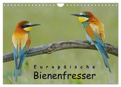 Cover Europäische Bienenfresser (Wandkalender 2026 DIN A4 quer), CALVENDO Monatskalender