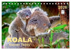 Koala - kleiner Teddy (Tischkalender 2026 DIN A5 quer), CALVENDO Monatskalender