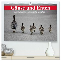 Gänse und Enten. Schnattern, watscheln, quaken! (hochwertiger Premium Wandkalender 2026 DIN A2 quer), Kunstdruck in Hochglanz