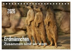 Cover Erdmännchen - Zusammen sind wir stark / CH-Version (Tischkalender 2026 DIN A5 quer), CALVENDO Monatskalender