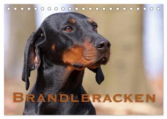 Brandlbracken (Tischkalender 2026 DIN A5 quer), CALVENDO Monatskalender Brandlbracken (Tischkalender 2026 DIN A5 quer), CALVENDO Monatskalender