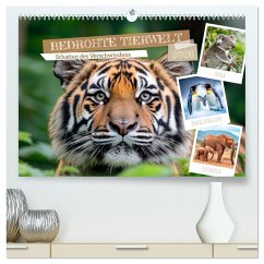 Cover Bedrohte Tierwelt SCHATTEN DES VERSCHWINDENS (hochwertiger Premium Wandkalender 2026 DIN A2 quer), Kunstdruck in Hochglanz