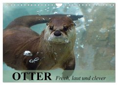 Cover Otter. Frech, laut und clever (Wandkalender 2026 DIN A4 quer), CALVENDO Monatskalender
