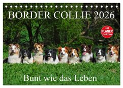 Cover Border Collie 2026 (Tischkalender 2026 DIN A5 quer), CALVENDO Monatskalender