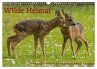 Wilde Heimat (Wandkalender 2026 DIN A3... - Bild 1