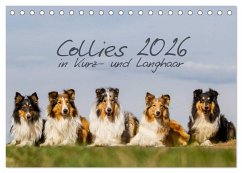 Collies 2026 in Kurz- und Langhaar (Tischkalender 2026 DIN A5 quer), CALVENDO Monatskalender