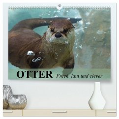 Cover Otter. Frech, laut und clever (hochwertiger Premium Wandkalender 2026 DIN A2 quer), Kunstdruck in Hochglanz