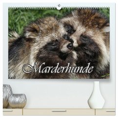 Cover Marderhunde (hochwertiger Premium Wandkalender 2026 DIN A2 quer), Kunstdruck in Hochglanz