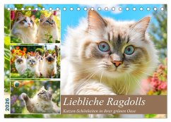 Liebliche Ragdolls. Katzen-Schönheiten in ihrer grünen Oase (Tischkalender 2026 DIN A5 quer), CALVENDO Monatskalender