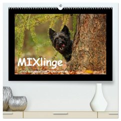 MIXlinge (hochwertiger Premium Wandkalender 2026 DIN A2 quer), Kunstdruck in Hochglanz MIXlinge (hochwertiger Premium Wandkalender 2026 DIN A2 quer), Kunstdruck in Hochglanz