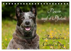 Power auf 4 Pfoten. Australian Cattle Dog (Tischkalender 2026 DIN A5 quer), CALVENDO Monatskalender