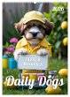 Daily Dogs - Tierisch menschlich... - Bild 1