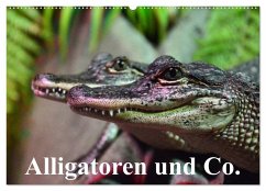 Alligatoren und Co. (Wandkalender 2026 DIN A2 quer), CALVENDO Monatskalender