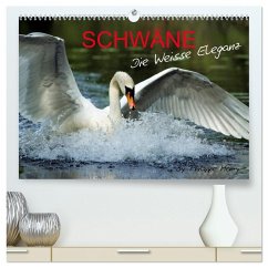 Cover SCHWÄNE. (hochwertiger Premium Wandkalender 2026 DIN A2 quer), Kunstdruck in Hochglanz