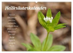 Heilkräuterkalender (Wandkalender 2026 DIN A2 quer), CALVENDO Monatskalender