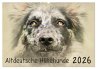 Altdeutsche Hütehunde 2026... - Bild 1